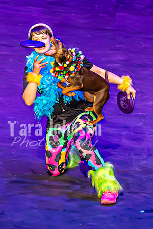 2026 Mutts in Motion - Stitch & Jen (Cooties) - TJP (14 of 21)