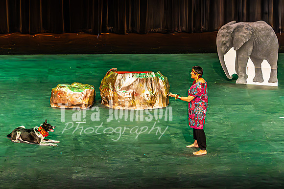 2026 Mutts in Motion - Why & Susette (Lion King) - TJP (3 of 43)