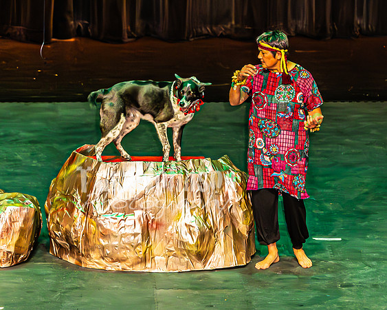 2026 Mutts in Motion - Why & Susette (Lion King) - TJP (7 of 43)
