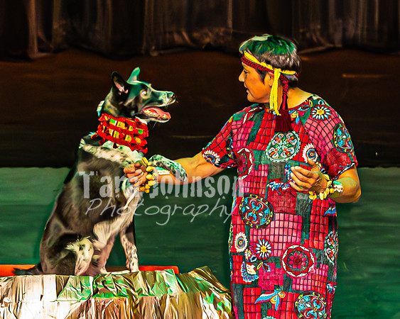2026 Mutts in Motion - Why & Susette (Lion King) - TJP (9 of 43)