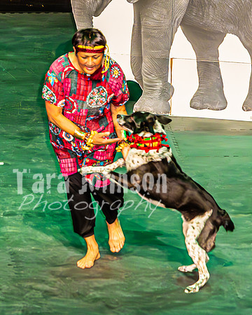 2026 Mutts in Motion - Why & Susette (Lion King) - TJP (5 of 43)