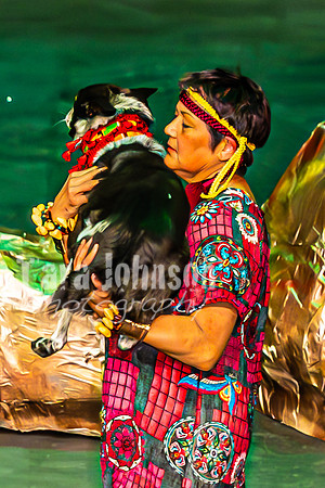 2026 Mutts in Motion - Why & Susette (Lion King) - TJP (15 of 43)