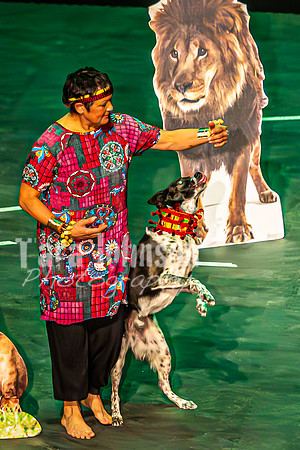2026 Mutts in Motion - Why & Susette (Lion King) - TJP (19 of 43)
