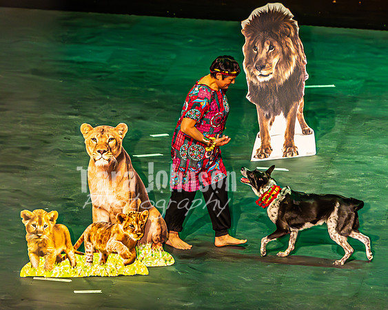 2026 Mutts in Motion - Why & Susette (Lion King) - TJP (18 of 43)