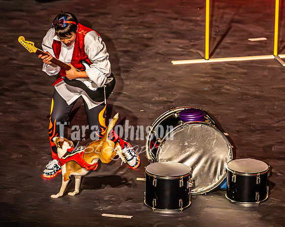 2026 Mutts in Motion - Muchu & Jen (Goofy Goober) - TJP (9 of 36)