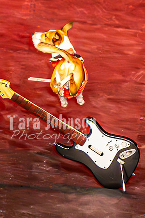 2026 Mutts in Motion - Muchu & Jen (Goofy Goober) - TJP (19 of 36)