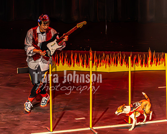 2026 Mutts in Motion - Muchu & Jen (Goofy Goober) - TJP (24 of 36)