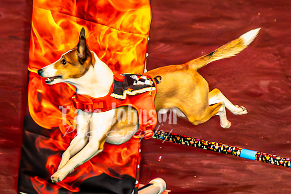 2026 Mutts in Motion - Muchu & Jen (Goofy Goober) - TJP (33 of 36)
