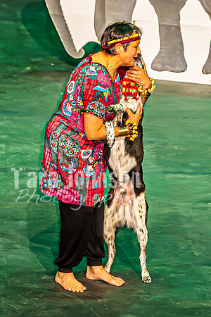 2026 Mutts in Motion - Why & Susette (Lion King) - TJP (30 of 43)