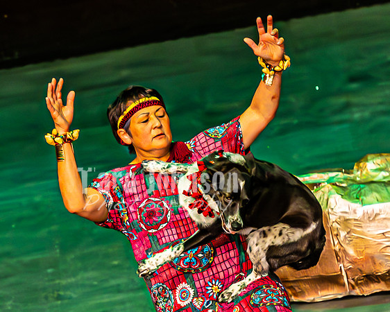 2026 Mutts in Motion - Why & Susette (Lion King) - TJP (32 of 43)
