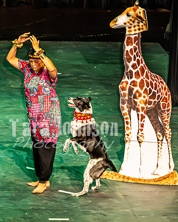 2026 Mutts in Motion - Why & Susette (Lion King) - TJP (28 of 43)