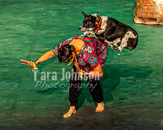 2026 Mutts in Motion - Why & Susette (Lion King) - TJP (37 of 43)