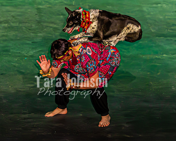 2026 Mutts in Motion - Why & Susette (Lion King) - TJP (40 of 43)