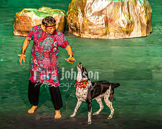 2026 Mutts in Motion - Why & Susette (Lion King) - TJP (39 of 43)