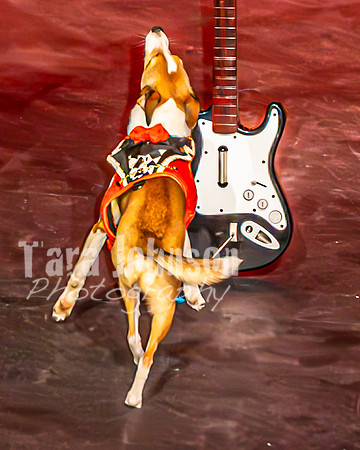 2026 Mutts in Motion - Muchu & Jen (Goofy Goober) - TJP (12 of 36)