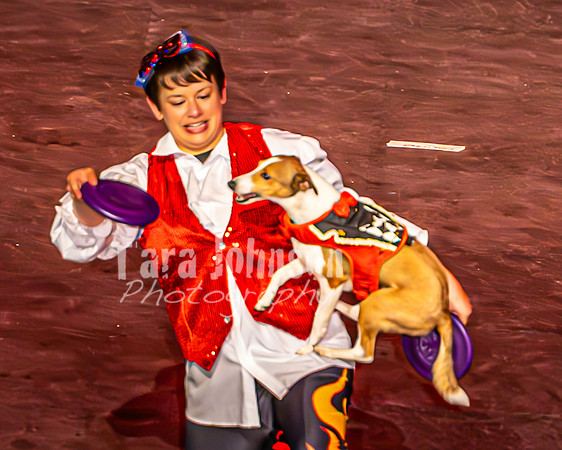2026 Mutts in Motion - Muchu & Jen (Goofy Goober) - TJP (8 of 36)