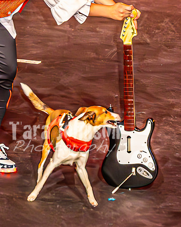 2026 Mutts in Motion - Muchu & Jen (Goofy Goober) - TJP (14 of 36)