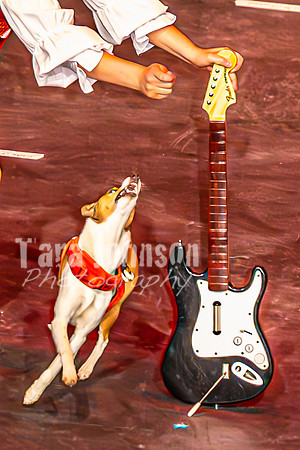 2026 Mutts in Motion - Muchu & Jen (Goofy Goober) - TJP (15 of 36)