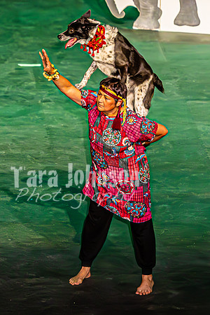 2026 Mutts in Motion - Why & Susette (Lion King) - TJP (42 of 43)