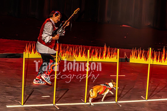 2026 Mutts in Motion - Muchu & Jen (Goofy Goober) - TJP (21 of 36)