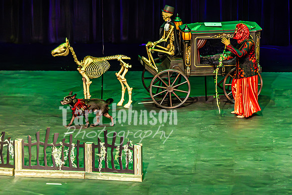 2026 Mutts in Motion - Performance - Complete - TJP (3 of 487)
