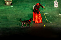 2026 Mutts in Motion - Performance - Complete - TJP (8 of 487)