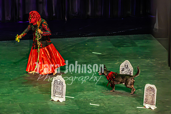 2026 Mutts in Motion - Performance - Complete - TJP (14 of 487)