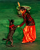2026 Mutts in Motion - Performance - Complete - TJP (22 of 487)