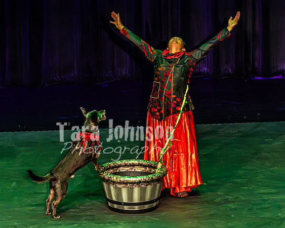 2026 Mutts in Motion - Performance - Complete - TJP (21 of 487)
