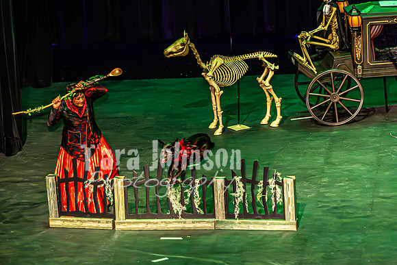 2026 Mutts in Motion - Performance - Complete - TJP (28 of 487)