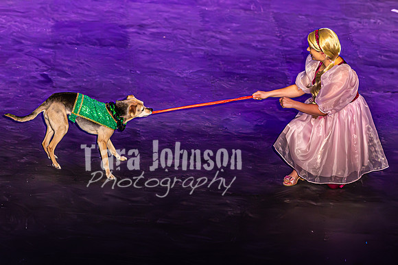 2026 Mutts in Motion - Performance - Complete - TJP (34 of 487)