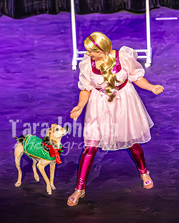 2026 Mutts in Motion - Performance - Complete - TJP (35 of 487)