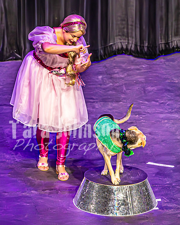 2026 Mutts in Motion - Performance - Complete - TJP (46 of 487)