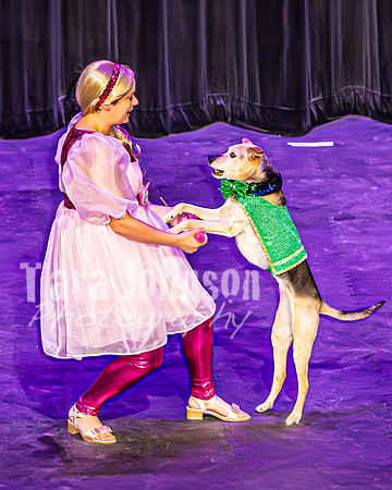 2026 Mutts in Motion - Performance - Complete - TJP (50 of 487)