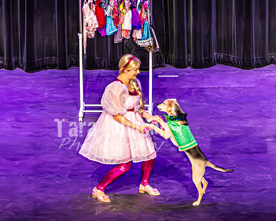 2026 Mutts in Motion - Performance - Complete - TJP (51 of 487)