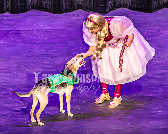 2026 Mutts in Motion - Performance - Complete - TJP (52 of 487)