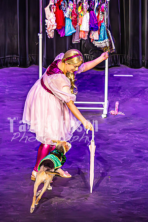 2026 Mutts in Motion - Performance - Complete - TJP (54 of 487)