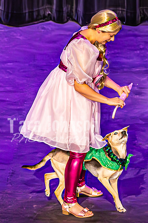 2026 Mutts in Motion - Performance - Complete - TJP (56 of 487)