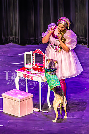 2026 Mutts in Motion - Performance - Complete - TJP (59 of 487)