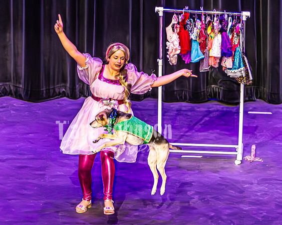 2026 Mutts in Motion - Performance - Complete - TJP (64 of 487)
