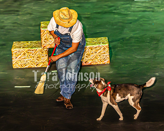 2026 Mutts in Motion - Performance - Complete - TJP (77 of 487)