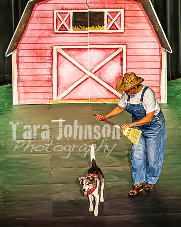 2026 Mutts in Motion - Performance - Complete - TJP (76 of 487)