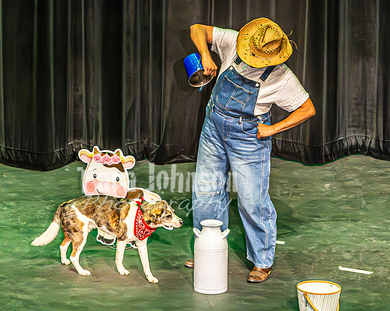 2026 Mutts in Motion - Performance - Complete - TJP (81 of 487)