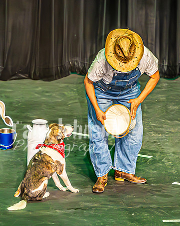 2026 Mutts in Motion - Performance - Complete - TJP (83 of 487)