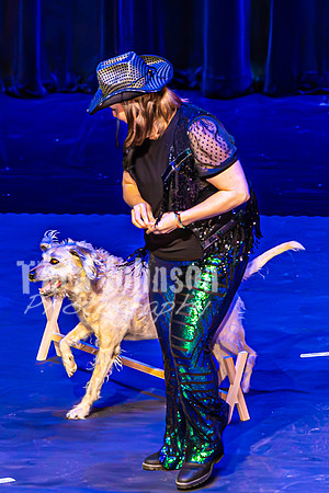 2026 Mutts in Motion - Performance - Complete - TJP (97 of 487)