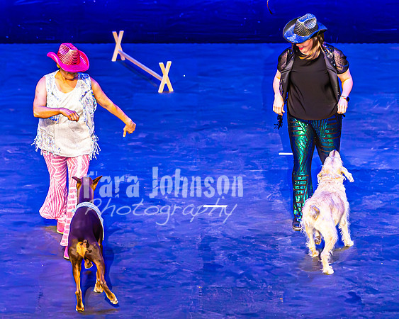 2026 Mutts in Motion - Performance - Complete - TJP (102 of 487)