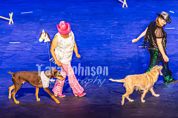 2026 Mutts in Motion - Performance - Complete - TJP (104 of 487)