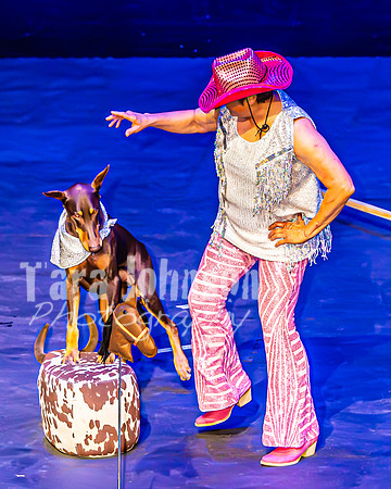 2026 Mutts in Motion - Performance - Complete - TJP (109 of 487)