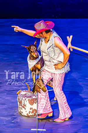 2026 Mutts in Motion - Performance - Complete - TJP (112 of 487)