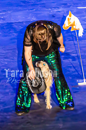 2026 Mutts in Motion - Performance - Complete - TJP (114 of 487)